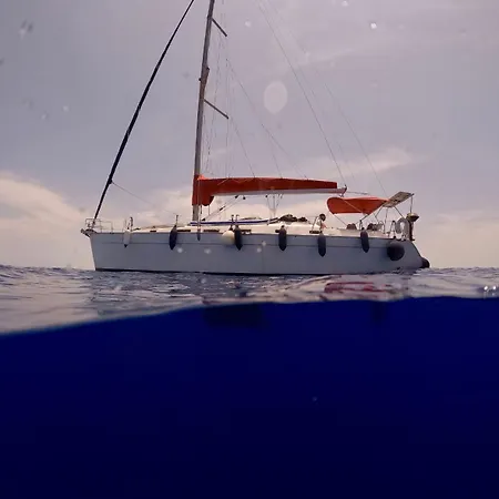 Seawater Society Charters Malta *